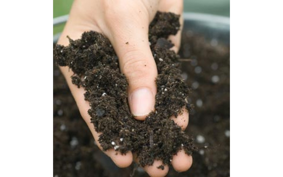 Kỹ thuật l&agrave;m ph&acirc;n ủ (phần 2)